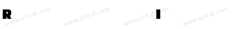 Rotterdam Italic字体转换
